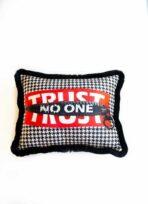 Cushion Collection Multicoloured  Code EY282
