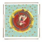 Plexy Tray Collection Multicoloured. Code PT2155