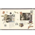 Plexy Tray Collection Multicoloured. Code PT2167