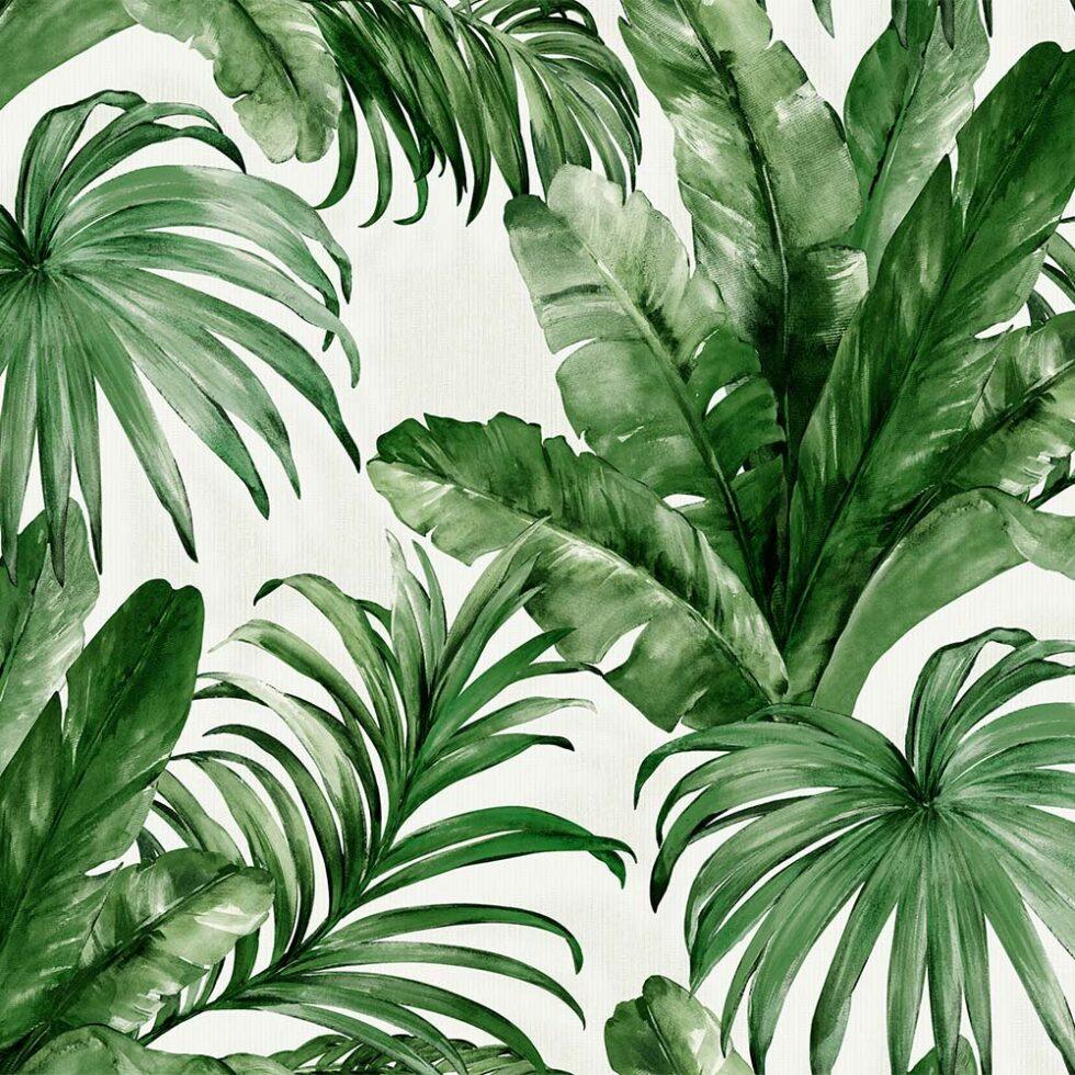 Palm Leaves And Tropical Jungle Inspired Wallpaper White Code 4714-4