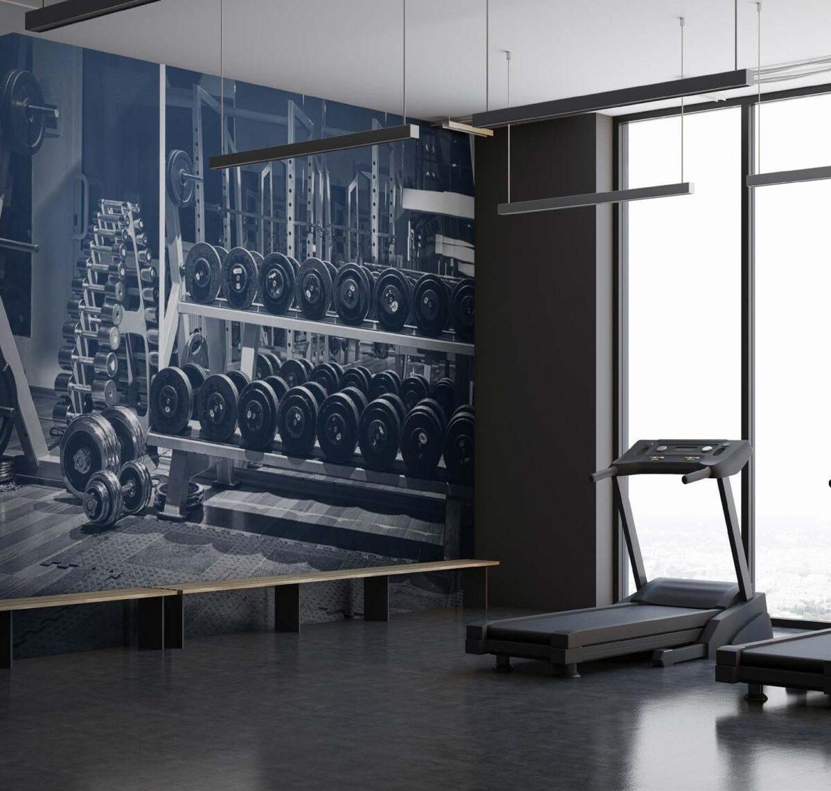 Fitness Center MURAL WALLPAPER, Available in Various Paper Texture, Code G104. 105 CM WIDE ROLL PANELS. - Image 2