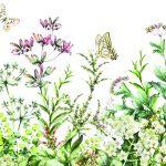 Trend MURAL WALLPAPER, Available in Various Paper Texture, Code M1028. It is Produced as 105 CM WIDE ROLL PANELS.