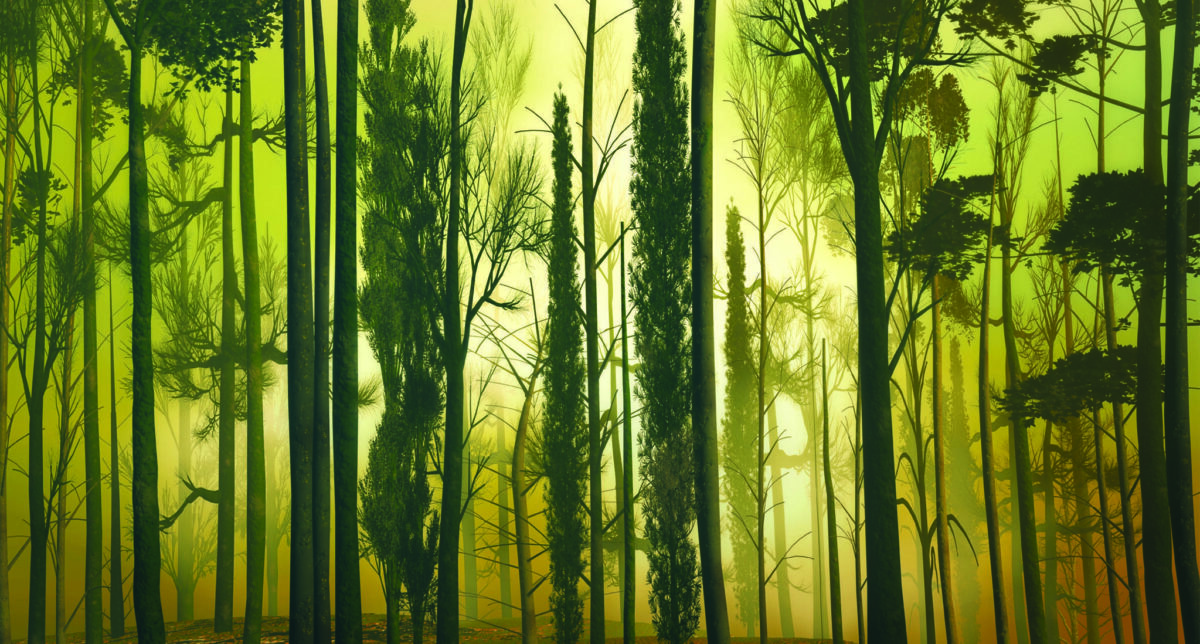 Landscape MURAL WALLPAPER, Available in Various Paper Texture, Code M1044. It is Produced as 105 CM WIDE ROLL PANELS. - Image 1