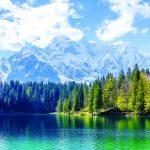 Landscape MURAL WALLPAPER, Available in Various Paper Texture, Code M1051. It is Produced as 105 CM WIDE ROLL PANELS.