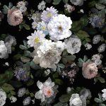 Trend Roses MURAL WALLPAPER, Available in Various Paper Texture, Code M701. It is Produced as 105 CM WIDE ROLL PANELS.