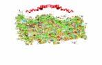 Turkey Map MURAL WALLPAPER, Available in Various Paper Texture, Code M705. It is Produced as 105 CM WIDE ROLL PANELS.