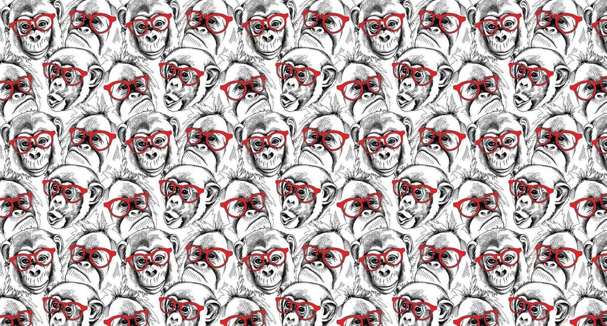 Trend MURAL WALLPAPER, Available in Various Paper Texture, Code M811. It is Produced as 105 CM WIDE ROLL PANELS. - Image 1