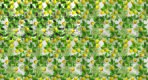 Trend MURAL WALLPAPER, Available in Various Paper Texture, Code M825. It is Produced as 105 CM WIDE ROLL PANELS.