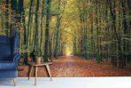 Landscape MURAL WALLPAPER, Available in Various Paper Texture, Code M877. It is Produced as 105 CM WIDE ROLL PANELS. - Image 2