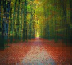 Landscape MURAL WALLPAPER, Available in Various Paper Texture, Code M877. It is Produced as 105 CM WIDE ROLL PANELS.