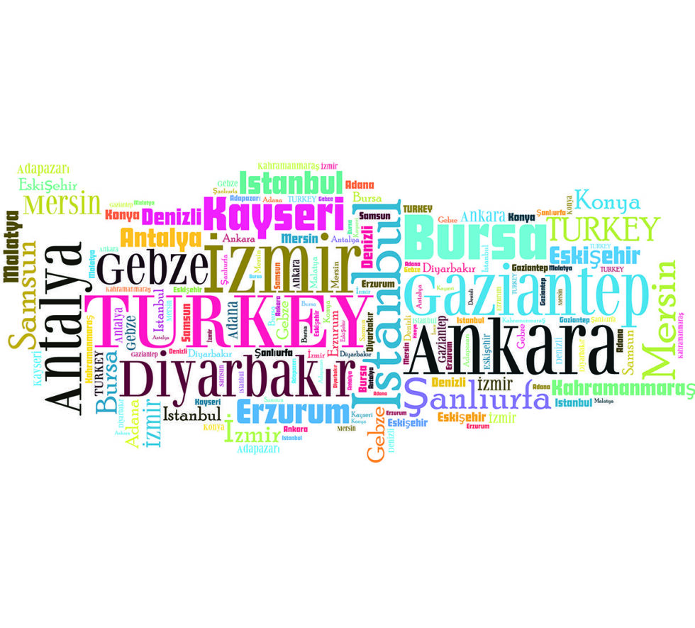 Code M911 - Turkey Graphic Mural Wallpaper - Image 3