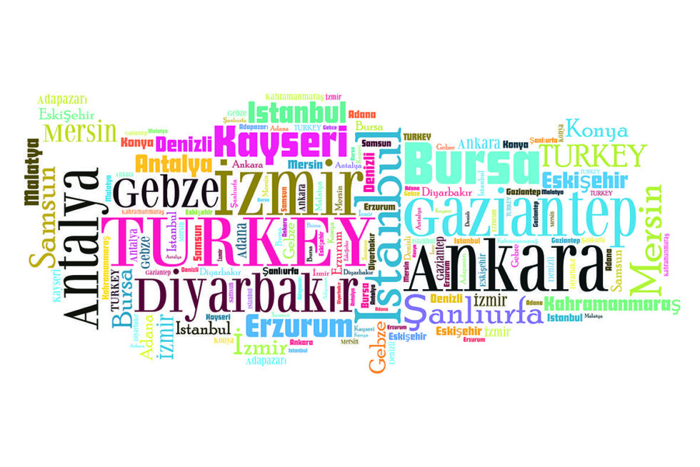 Code M911 - Turkey Graphic Mural Wallpaper - Image 2