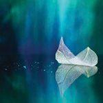 SPA Center, VINYL FABRIC TEXTILE Wall Mural in Different Texture, Code S109. It is produced as ONE PIECE WITHOUT JOINT.
