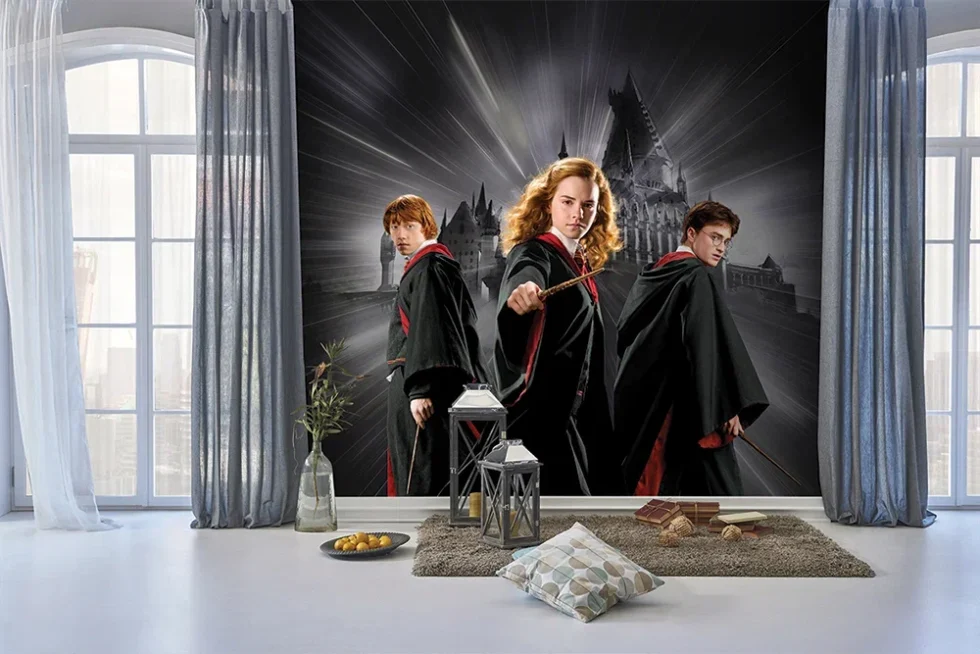 CODE WB2087 | HARRY POTTER MURAL WALLPAPER