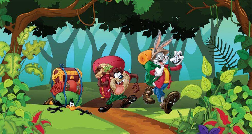 LOONEY TUNES, VINYL FABRIC TEXTILE Wall Mural in Different Texture, Code WB2100. It is produced as ONE PIECE WITHOUT JOINT.