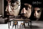 HARRY POTTER MURAL WALLPAPER, Available in Various Paper Texture, Code WB2109. 105 CM WIDE ROLL PANELS. - Image 2