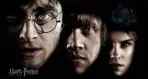 HARRY POTTER MURAL WALLPAPER, Available in Various Paper Texture, Code WB2109. 105 CM WIDE ROLL PANELS.