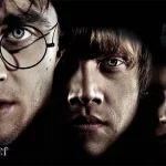 HARRY POTTER MURAL WALLPAPER, Available in Various Paper Texture, Code WB2109. 105 CM WIDE ROLL PANELS.