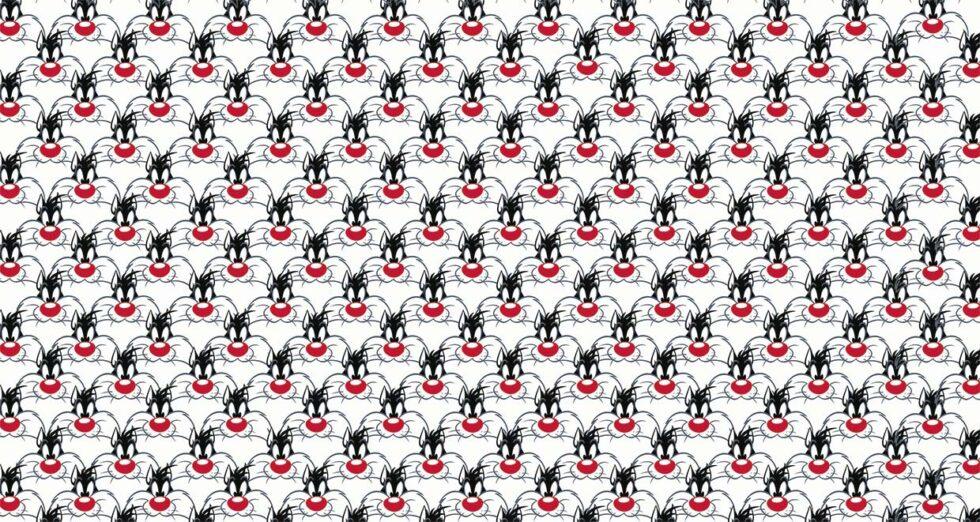 LOONEY TUNES, VINYL FABRIC TEXTILE Wall Mural in Different Texture, Code WB2166. It is produced as ONE PIECE WITHOUT JOINT.