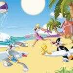 LOONEY TUNES, VINYL FABRIC TEXTILE Wall Mural in Different Texture, Code WB2169. It is produced as ONE PIECE WITHOUT JOINT.