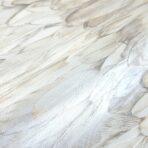 Modern Bird Feather Patterned Wallpaper Beige Code 9913-2 - Image 4
