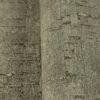Cork Texture Inspired Modern Wallpaper Green Code 3709-4 - Image 5
