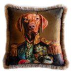 Cushion Collection Multicoloured Code EY244