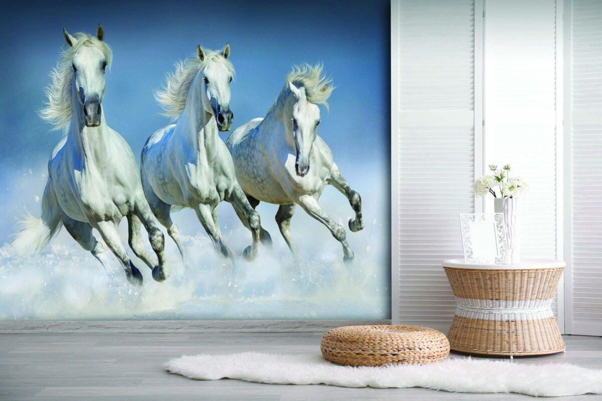 Trend MURAL WALLPAPER, Available in Various Paper Texture, Code M803. It is Produced as 105 CM WIDE ROLL PANELS. - Image 2