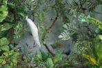 Trend Design MURAL WALLPAPER, Available in Various Paper Texture, Code A301. It is Produced as 105 CM WIDE ROLL PANELS.
