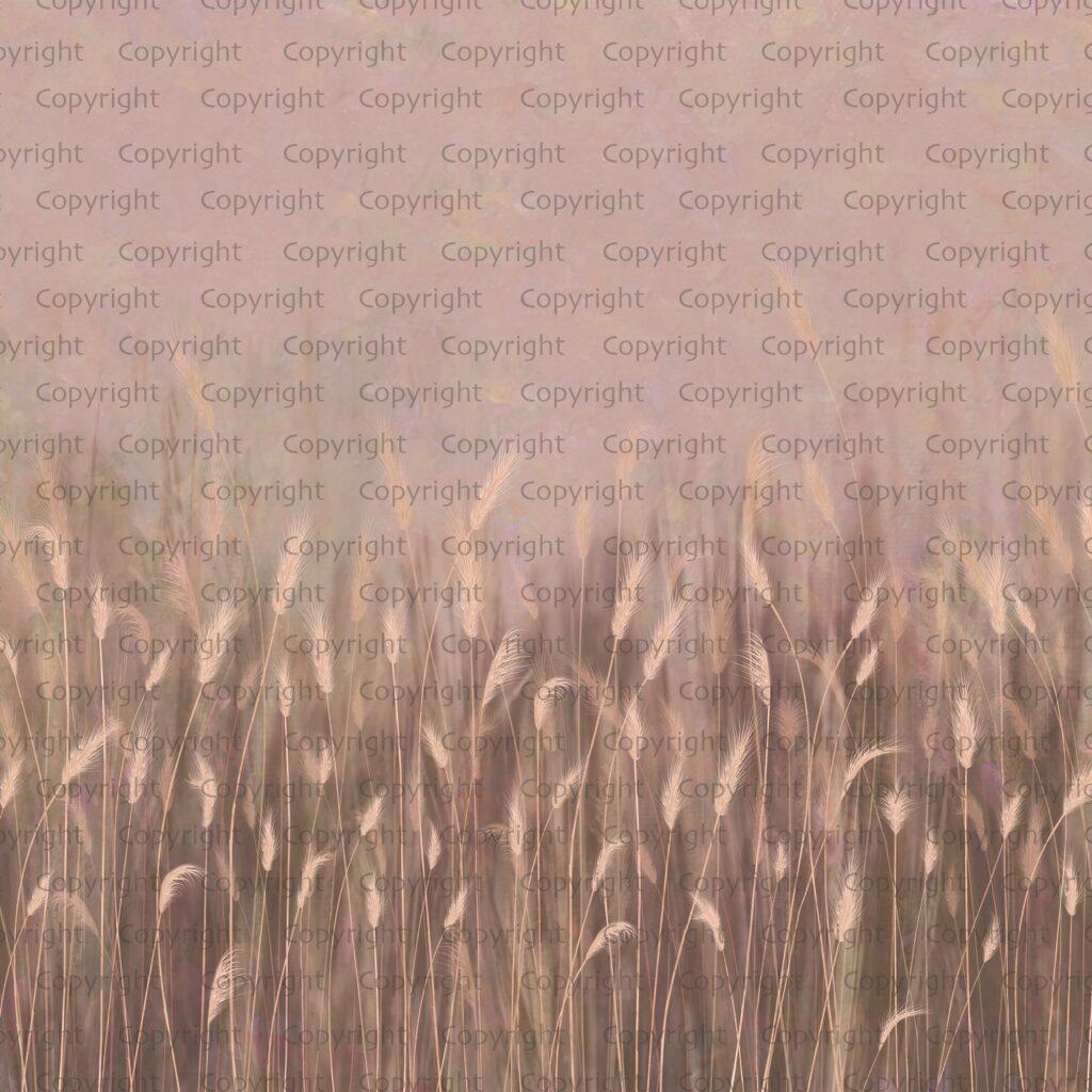 Pampas Flower Design MURAL WALLPAPER, Available in Various Paper Texture, Code SE302. It is Produced as 105 CM WIDE ROLL PANELS. - Image 4