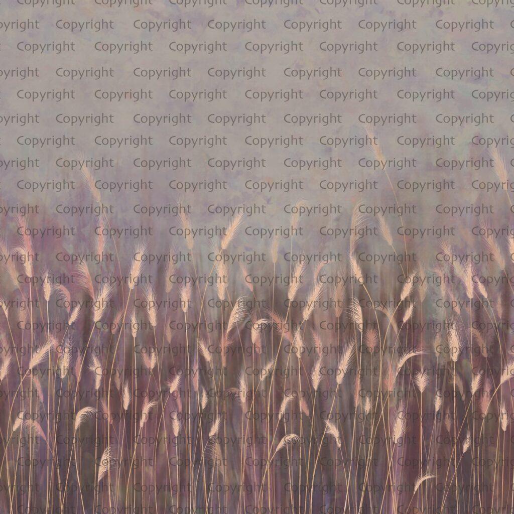Pampas Flower Design MURAL WALLPAPER, Available in Various Paper Texture, Code SE302. It is Produced as 105 CM WIDE ROLL PANELS. - Image 2