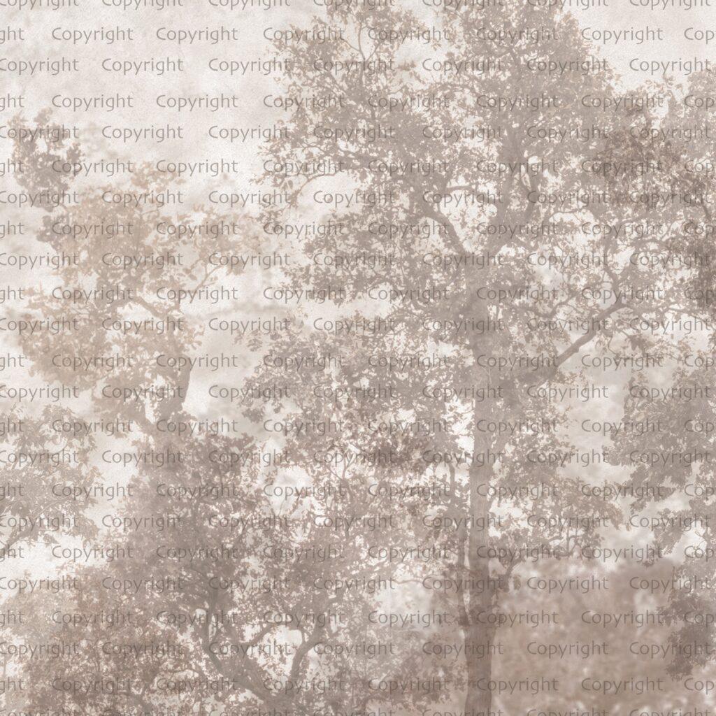 Tree Design, VINYL FABRIC TEXTILE Wall Mural in Different Texture, Code SE312. It is produced as ONE PIECE WITHOUT JOINT. - Image 2