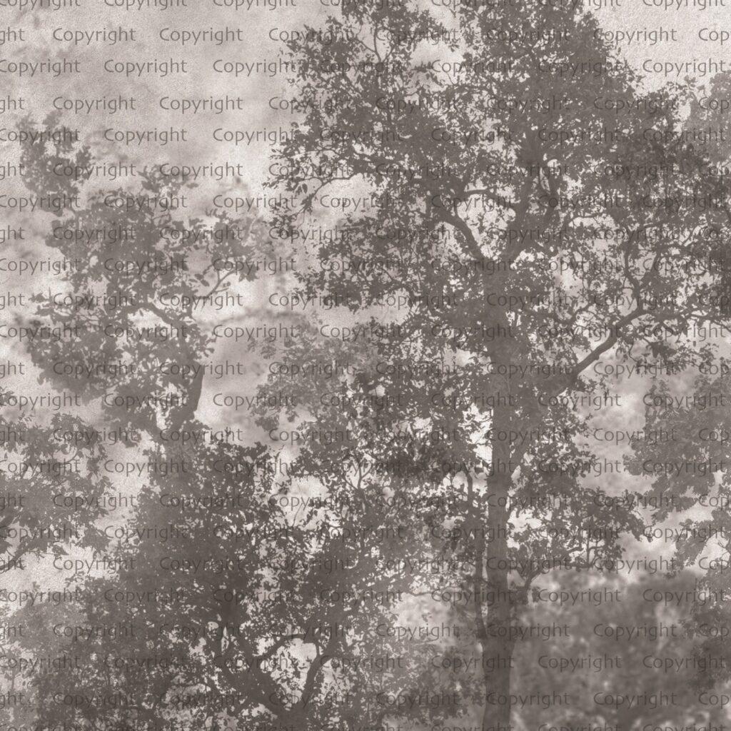 Tree Design, VINYL FABRIC TEXTILE Wall Mural in Different Texture, Code SE312. It is produced as ONE PIECE WITHOUT JOINT.