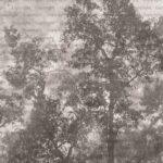 Tree Design, VINYL FABRIC TEXTILE Wall Mural in Different Texture, Code SE312. It is produced as ONE PIECE WITHOUT JOINT.