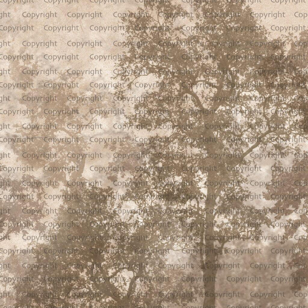 Tree Design, VINYL FABRIC TEXTILE Wall Mural in Different Texture, Code SE312. It is produced as ONE PIECE WITHOUT JOINT. - Image 3