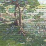 Nature Design MURAL WALLPAPER, Available in Various Paper Texture, Code SE319. It is Produced as 105 CM WIDE ROLL PANELS.