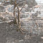 Nature Design, VINYL FABRIC TEXTILE Wall Mural in Different Texture, Code SE319. It is produced as ONE PIECE WITHOUT JOINT. - Image 2
