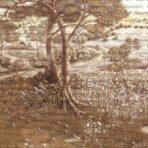 Nature Design, VINYL FABRIC TEXTILE Wall Mural in Different Texture, Code SE319. It is produced as ONE PIECE WITHOUT JOINT.