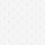 Wallpaper with Bugs Bunny Cartoon Character Figures Colors Gray, Light Code 8935-1