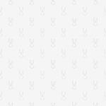 Wallpaper with Bugs Bunny Cartoon Character Figures Colors Gray, Light Code 8935-1